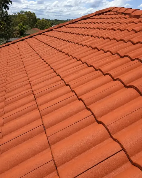 Roof after paint refresh — darker refreshed roof finish