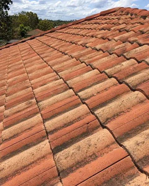 Roof before paint refresh — weathered tiles visible