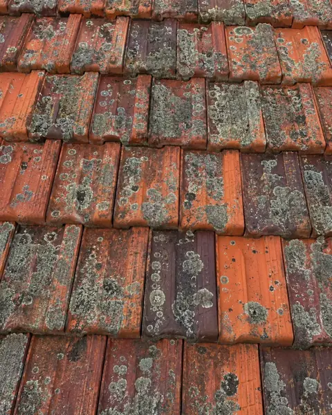 Roof before cleaning — moss and grime visible