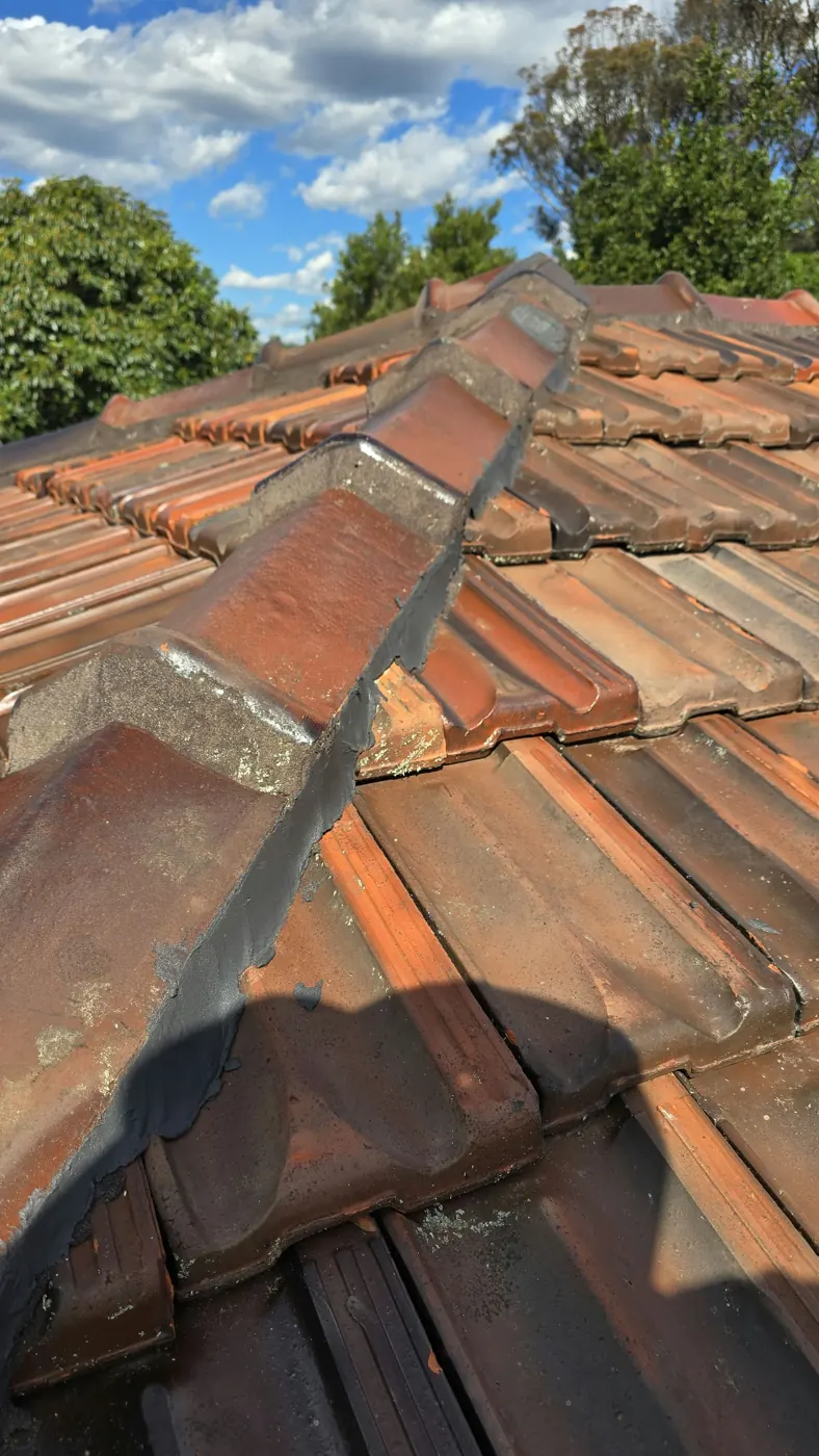 Hip line after repointing on a Coburg terracotta roof