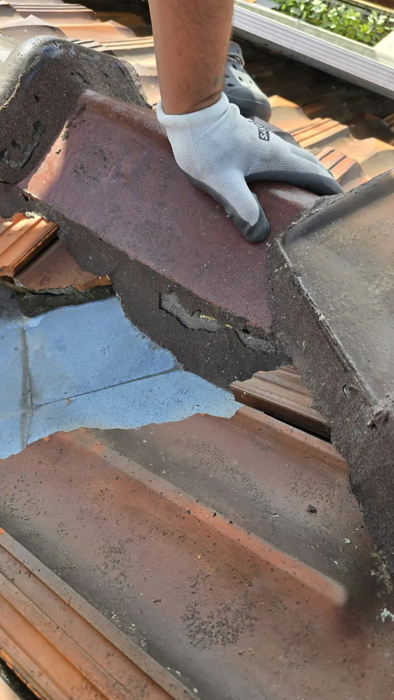 Terracotta ridge cap lifted during ridge repointing in Coburg