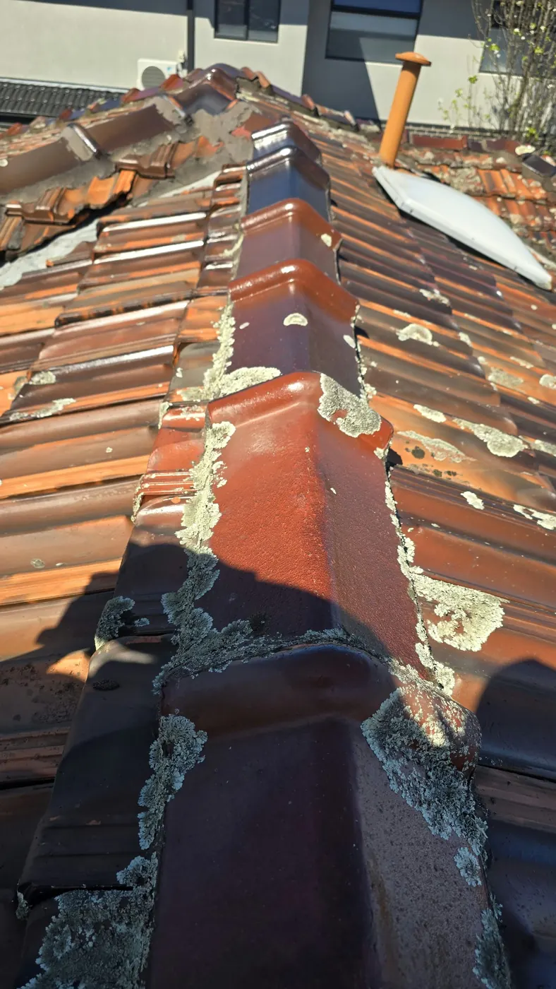 Grey-green lichen growing over terracotta ridge caps on a Coburg roof before cleaning