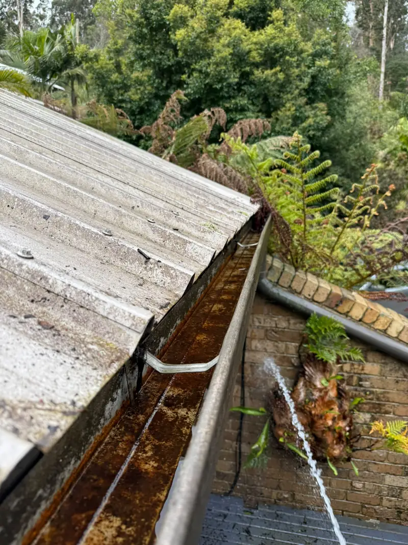 Water being sprayed into a leaf-filled gutter during cleaning