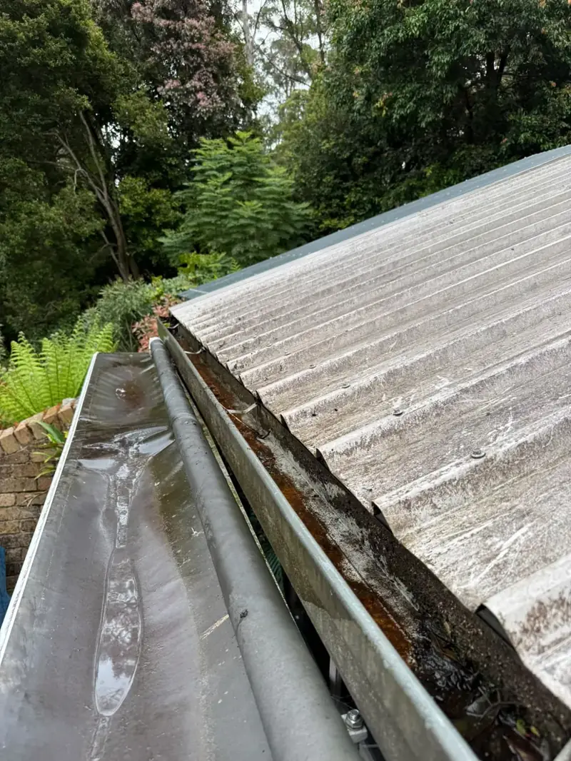 Clearing leaves from a gutter on a metal roof in Dandenong