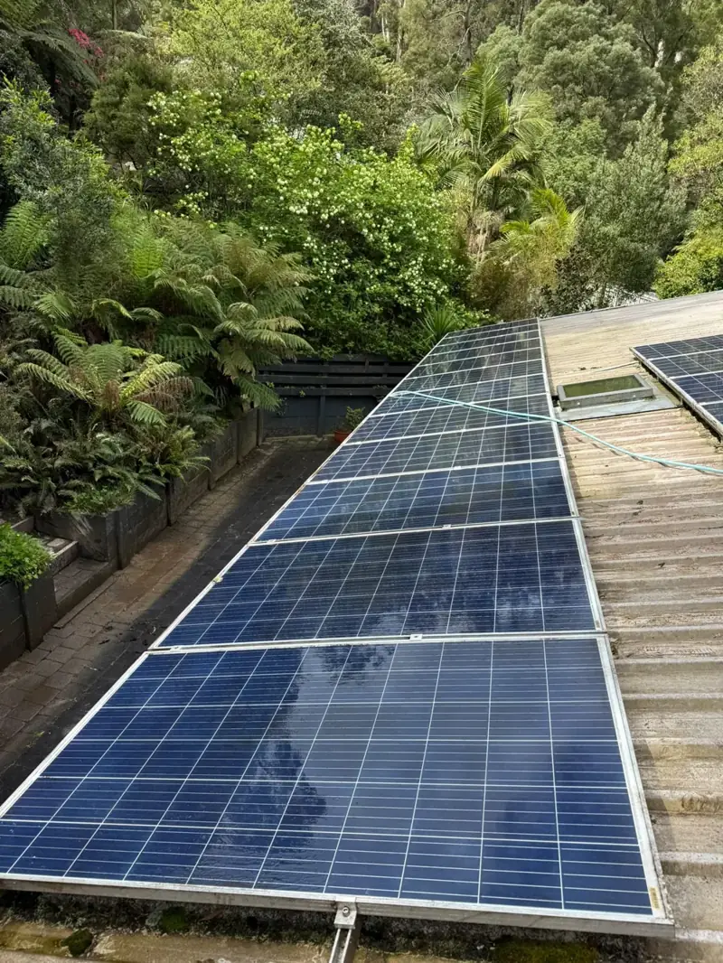 Solar panels after cleaning on a leafy Dandenong property