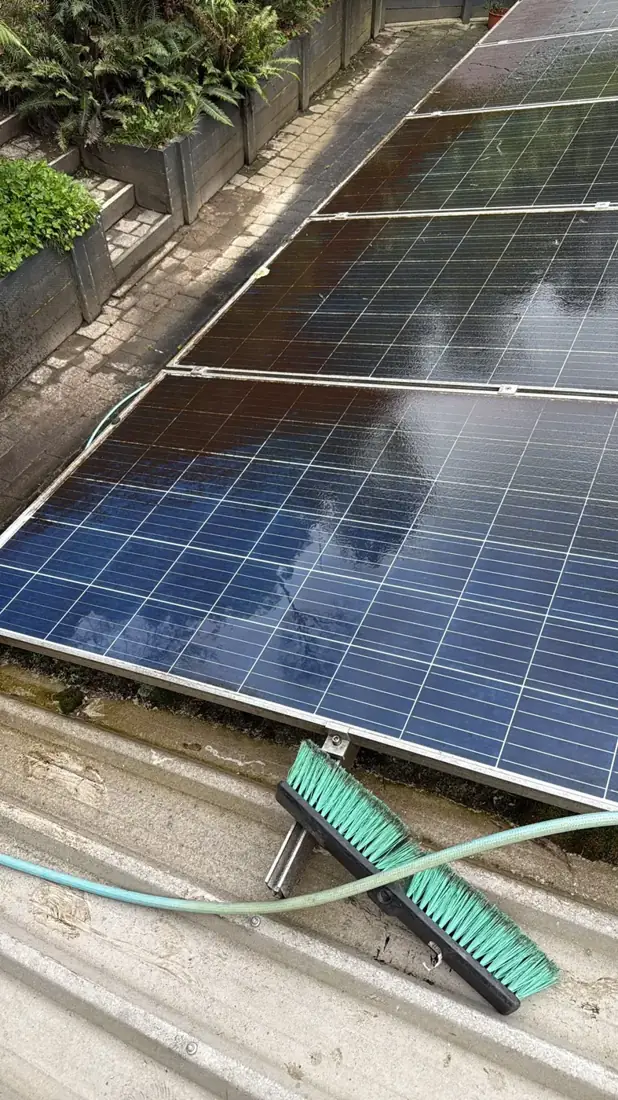 Cleaning dried mud off solar panels with a soft brush and water