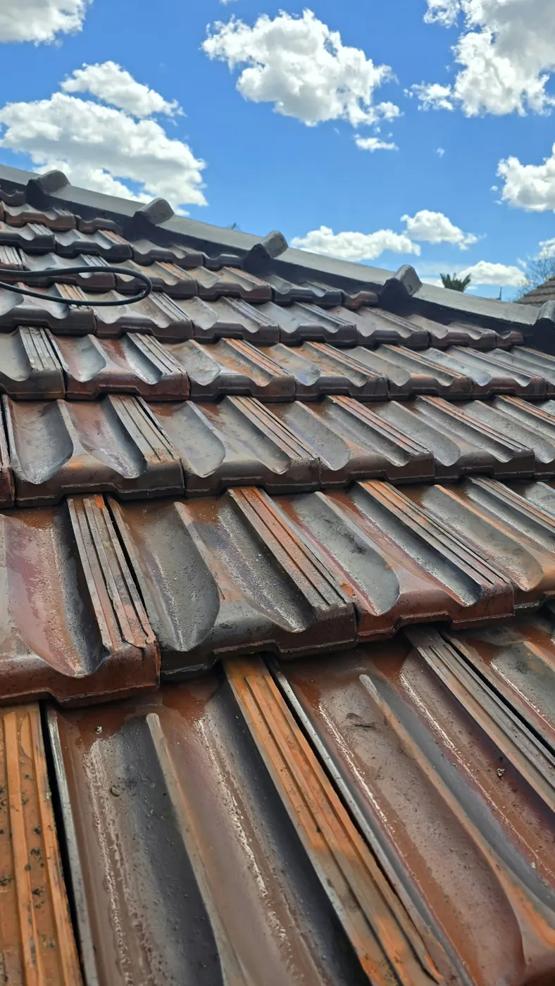 Rows of washed terracotta roof tiles with clean front edges