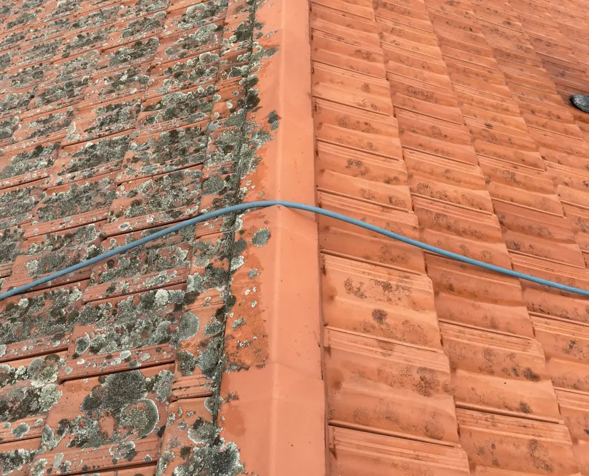Roof cleaning result showing heavy moss removed from tiled roof areas
